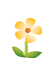 flower_D-hd