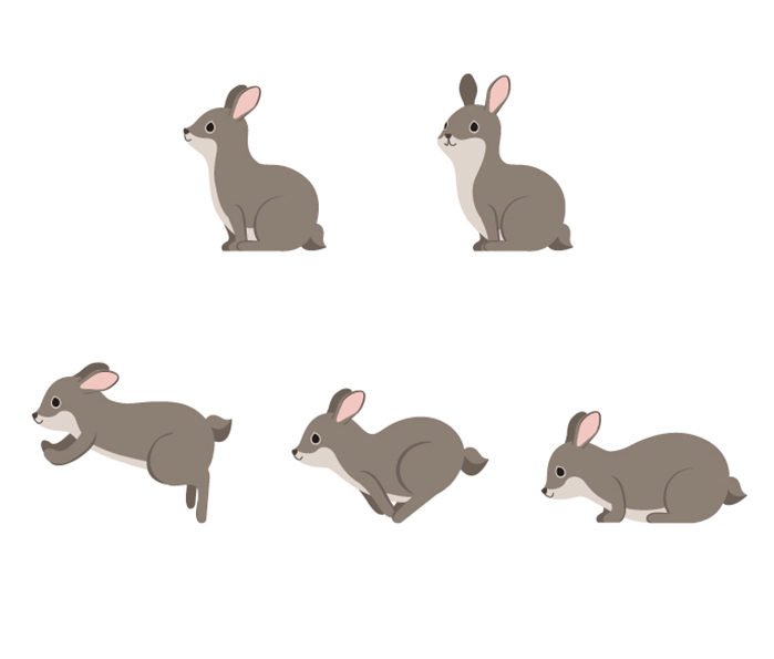 move-rabbit